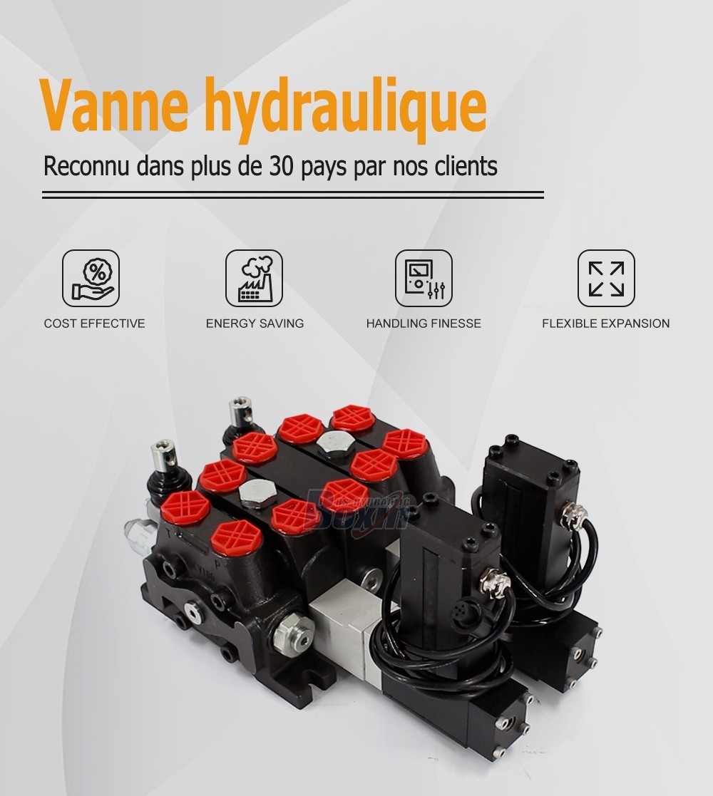 DCV100 Moteur électrique 2 tiroirs Distributeur directionnel sectionnel